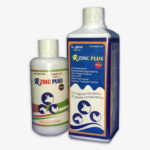 Product-05