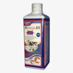 Product-08